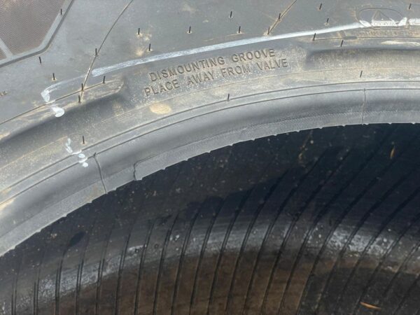 Michelin Axiobib 2 VF600/70 R30 rengas - Image 15