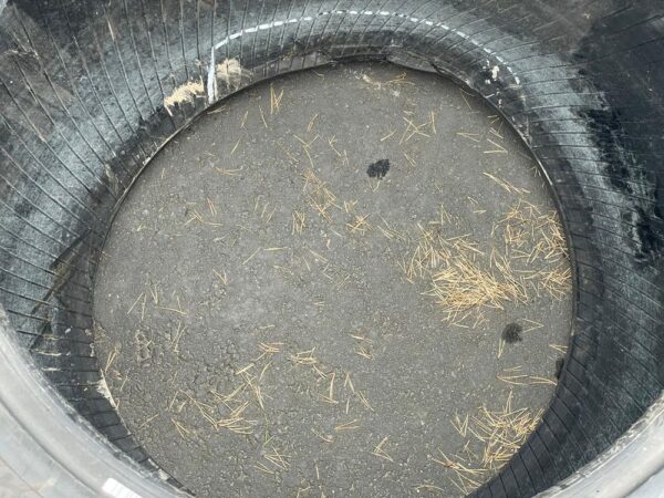 Michelin Megaxbib 750/65 R26 rengas - Image 14