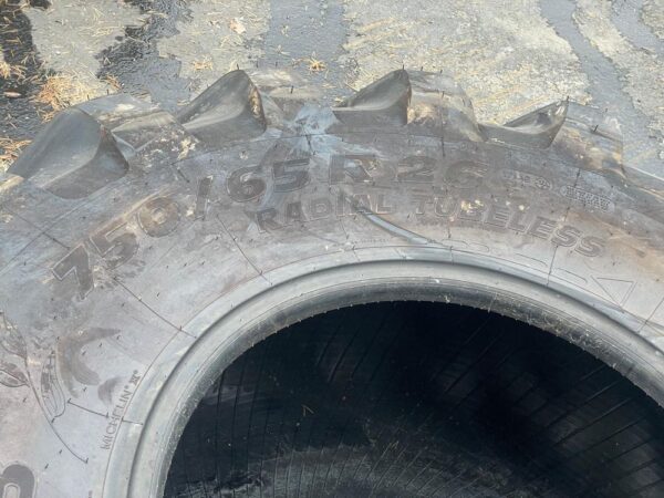 Michelin Megaxbib 750/65 R26 rengas - Image 9